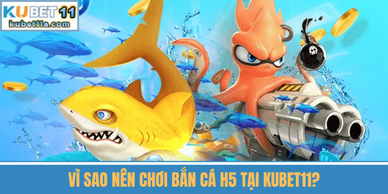 Vì Sao Nên Chơi Bắn Cá H5 Tại Kubet11?