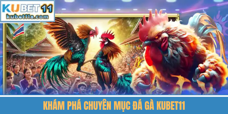 Khám Phá Chuyên Mục Đá Gà Kubet11