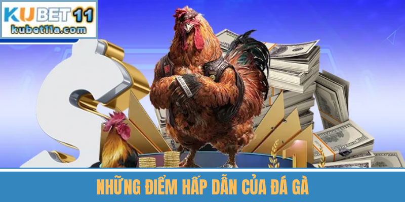 Những Điểm Hấp Dẫn Của Đá Gà