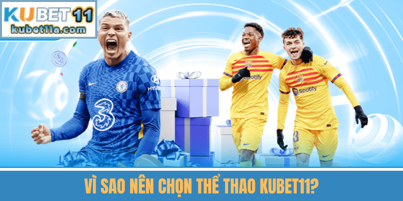 Vì Sao Nên Chọn Cá Cược Tại Kubet?